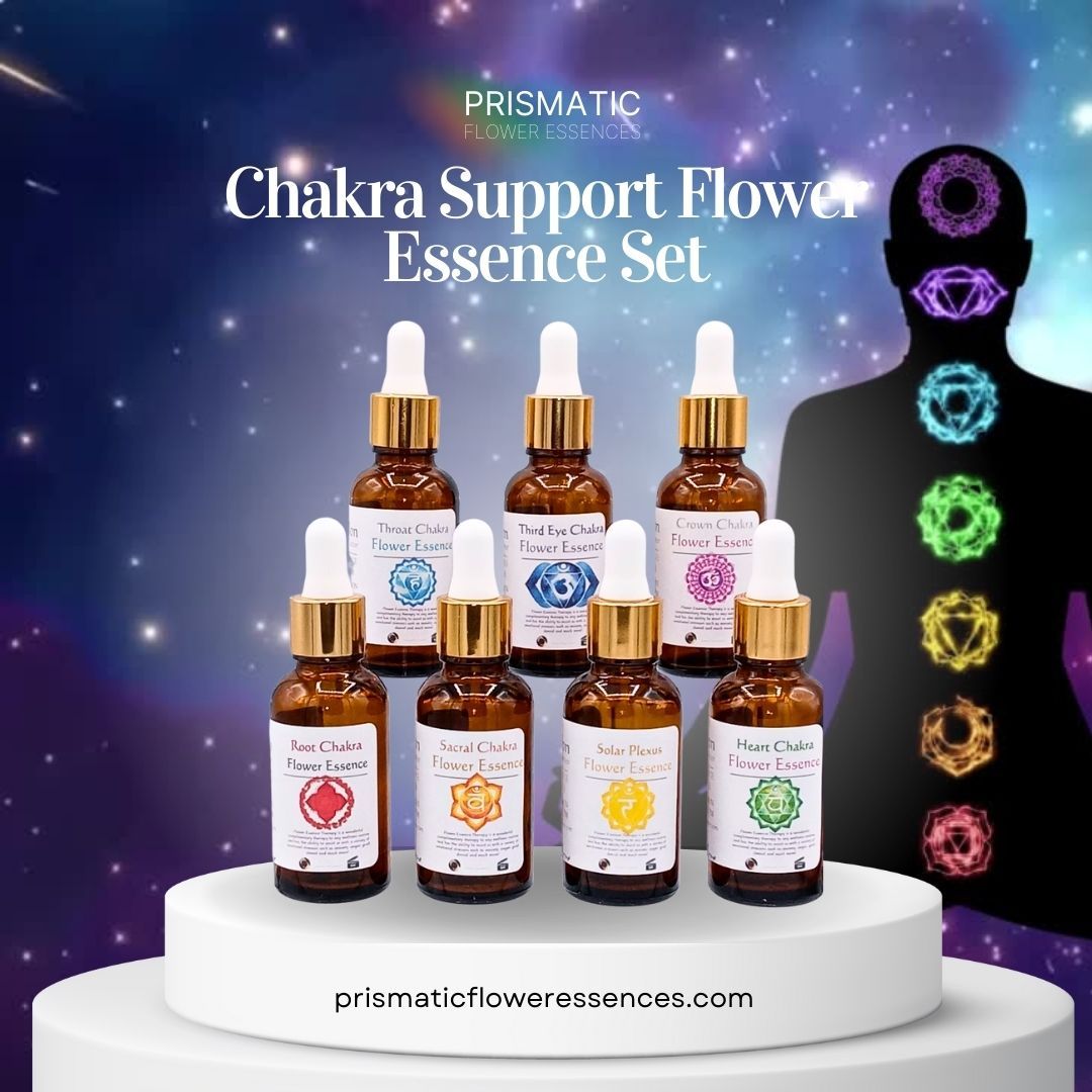 Chakra Support 7-Piece Flower Essence Kit from Prismatic Flower Essences