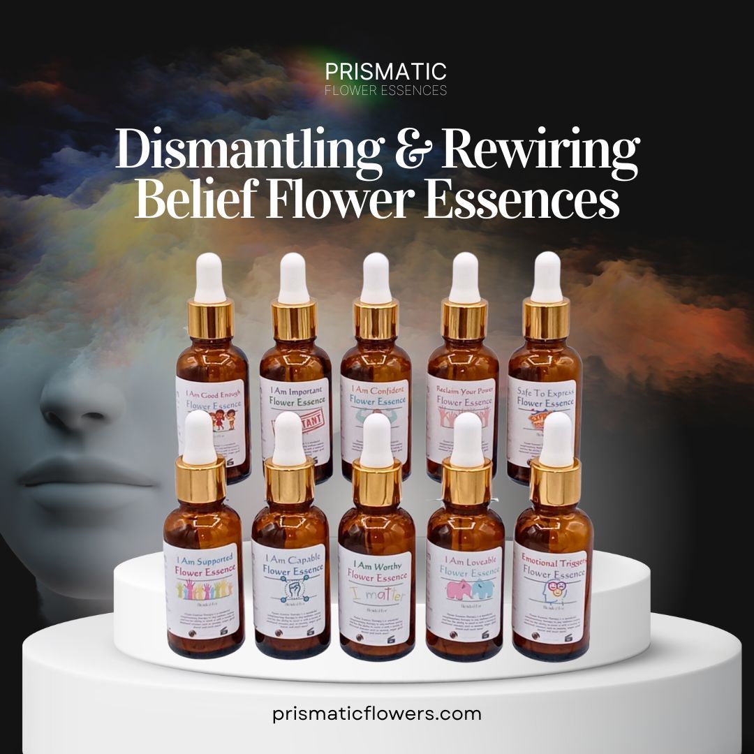Dismantling & Rewiring Beliefs Flower Essence Kit from Prismatic Flower Essences