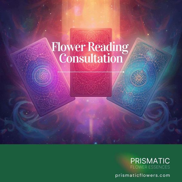 Floral Reading Consultation