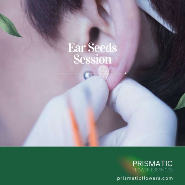 Ear Seeds