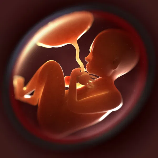 Womb Healing