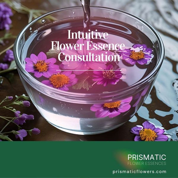Intuitive Flower Essence Consultation