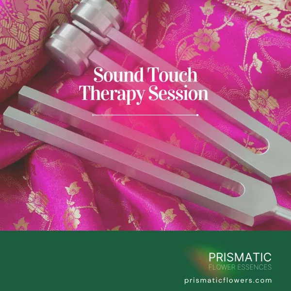 Sound Touch Therapy