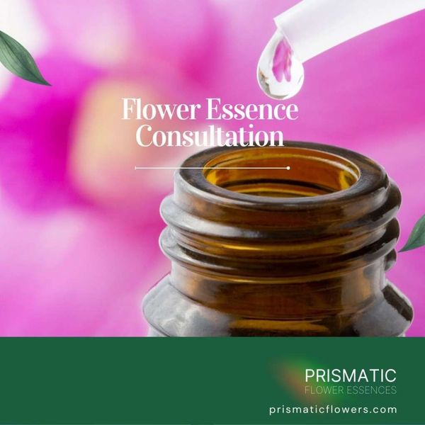 Flower Essence Therapy