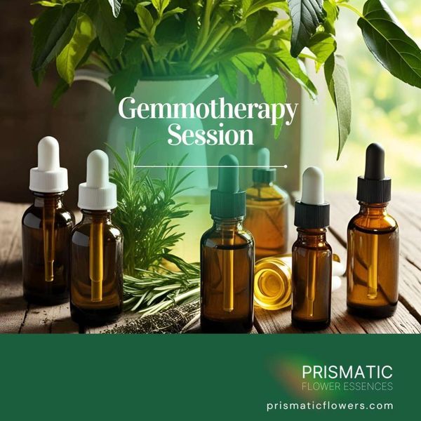 Gemmotherapy