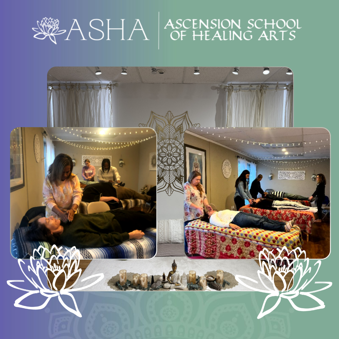 Two Reiki sessions in progress on treatment tables in the ASHA healing space, framed by white lotus line art under the ASHA Ascension School of Healing Arts banner
