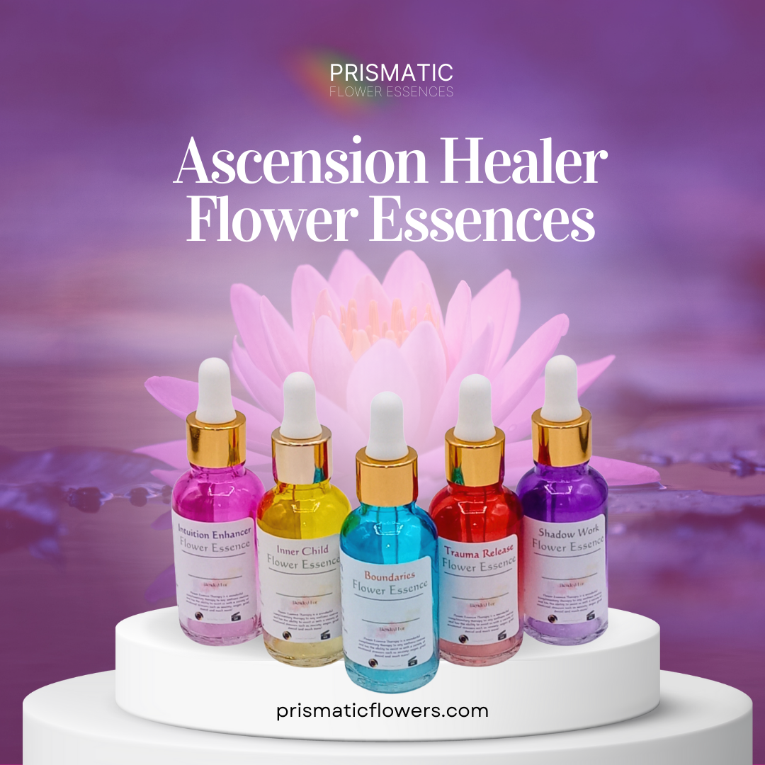 Ascension Healer Flower Essence Set from Prismatic Flower Essences