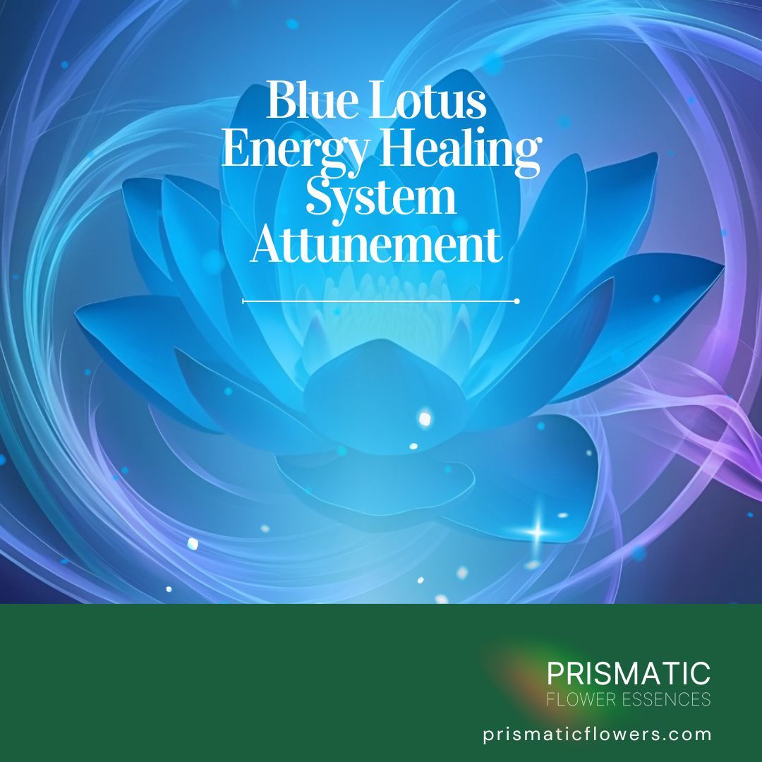 Reiki Attunements from Prismatic Flower Essences